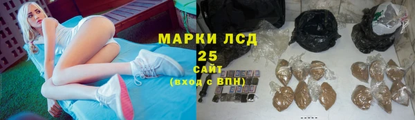 молекула духа Гусев