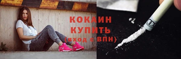 молекула духа Гусев