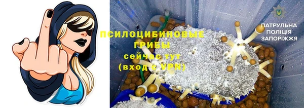 apvp Заводоуковск