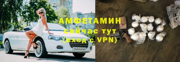 молекула духа Гусев