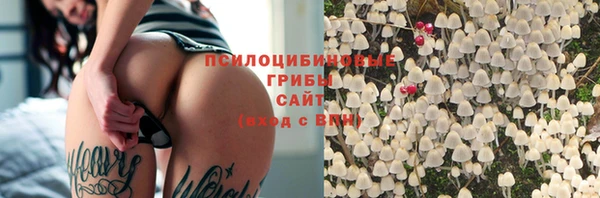 прущая мука Елабуга